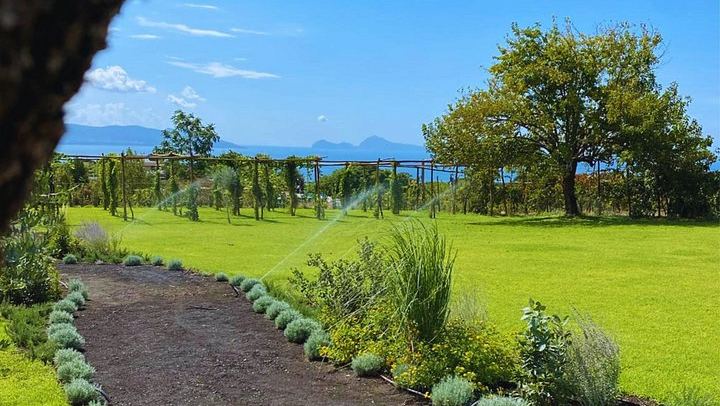 Vesuvius Night Horseback Ride with Winery BBQ and Wine, Roundtrip Transfer from Pompeii (3/12)