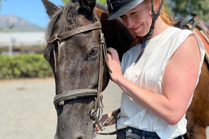 Vesuvius Night Horseback Ride with Winery BBQ and Wine, Roundtrip Transfer from Pompeii (6/12)