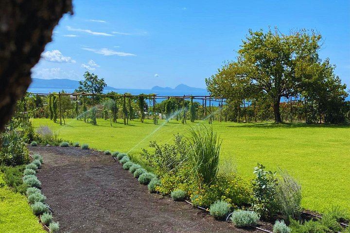 Vesuvius Night Horseback Ride with Winery BBQ and Wine, Roundtrip Transfer from Pompeii (3/12)