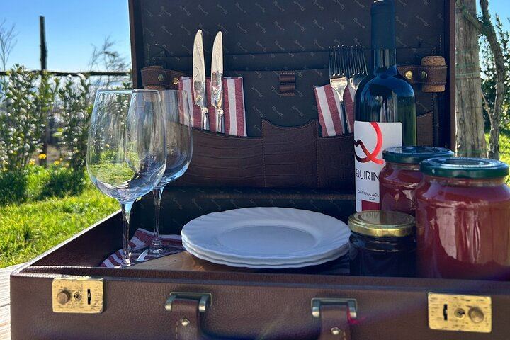 Vesuvius Night Horseback Ride with Winery BBQ and Wine, Roundtrip Transfer from Pompeii (11/12)