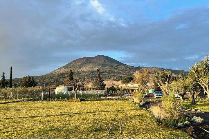 Vesuvius Night Horseback Ride with Winery BBQ and Wine, Roundtrip Transfer from Pompeii (12/12)
