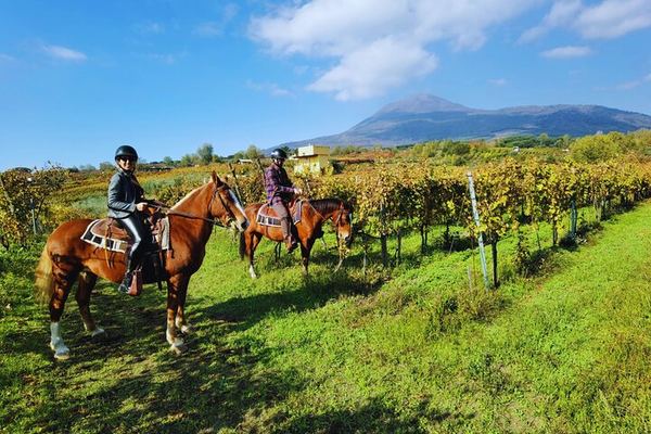 Vesuvius Night Horseback Ride with Winery BBQ and Wine, Roundtrip Transfer from Pompeii