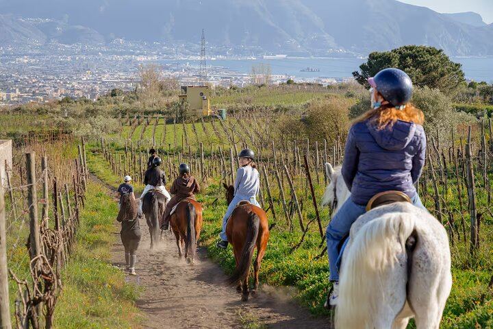 Vesuvius Night Horseback Ride with Winery BBQ and Wine, Roundtrip Transfer from Pompeii (7/12)
