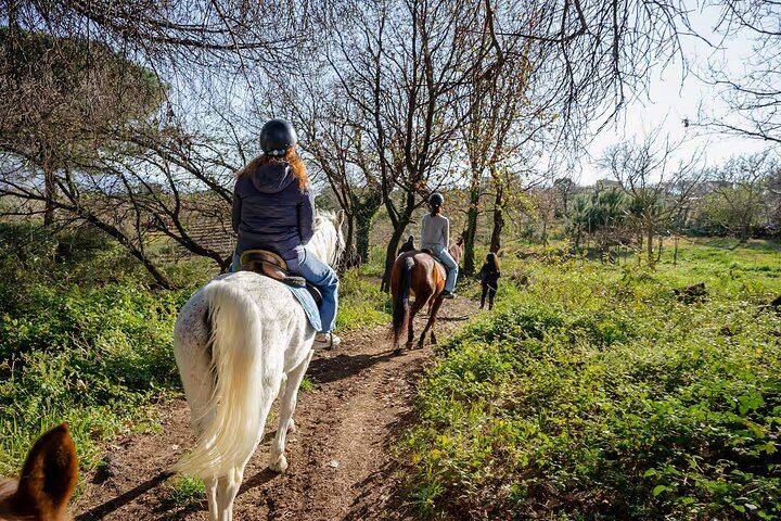 Vesuvius Night Horseback Ride with Winery BBQ and Wine, Roundtrip Transfer from Pompeii (10/12)