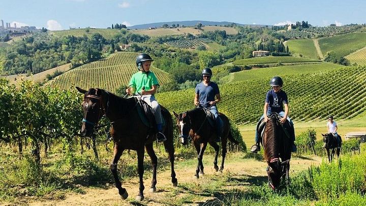 Small-Group Horseback Ride with Winery Lunch and San Gimignano Visit (2/12)