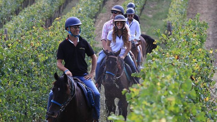 Small-Group Horseback Ride with Winery Lunch and San Gimignano Visit (3/12)