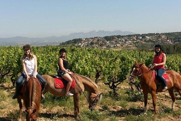 Private Horseback Ride Through Penedès Vineyards with Wine Tasting and Tapas Lunch