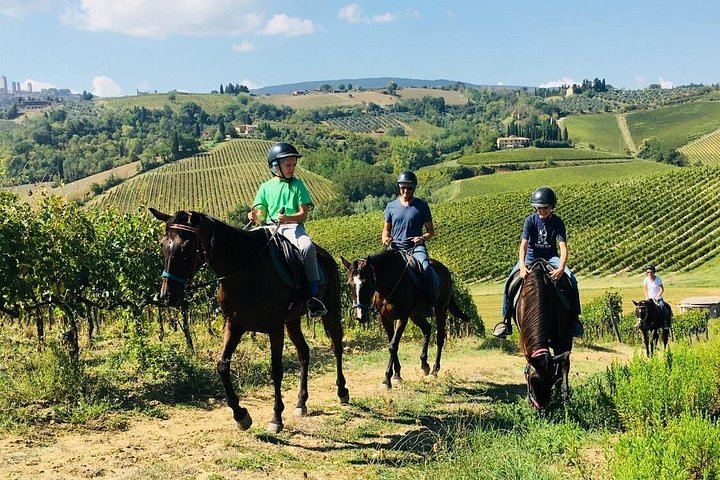 Small-Group Horseback Ride with Winery Lunch and San Gimignano Visit (2/12)