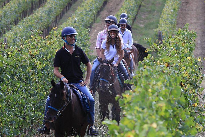Small-Group Horseback Ride with Winery Lunch and San Gimignano Visit (3/12)