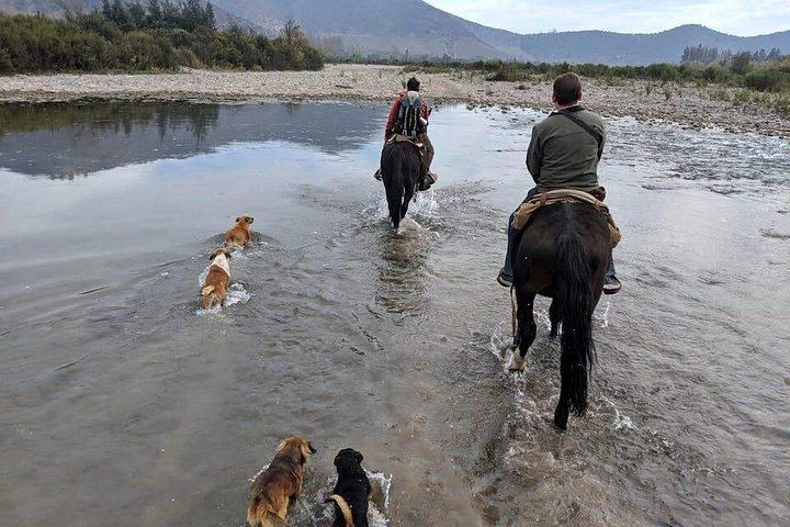 Private Horseback Wine Tour from Santiago: Organic Wine and Country Grill (8/12)