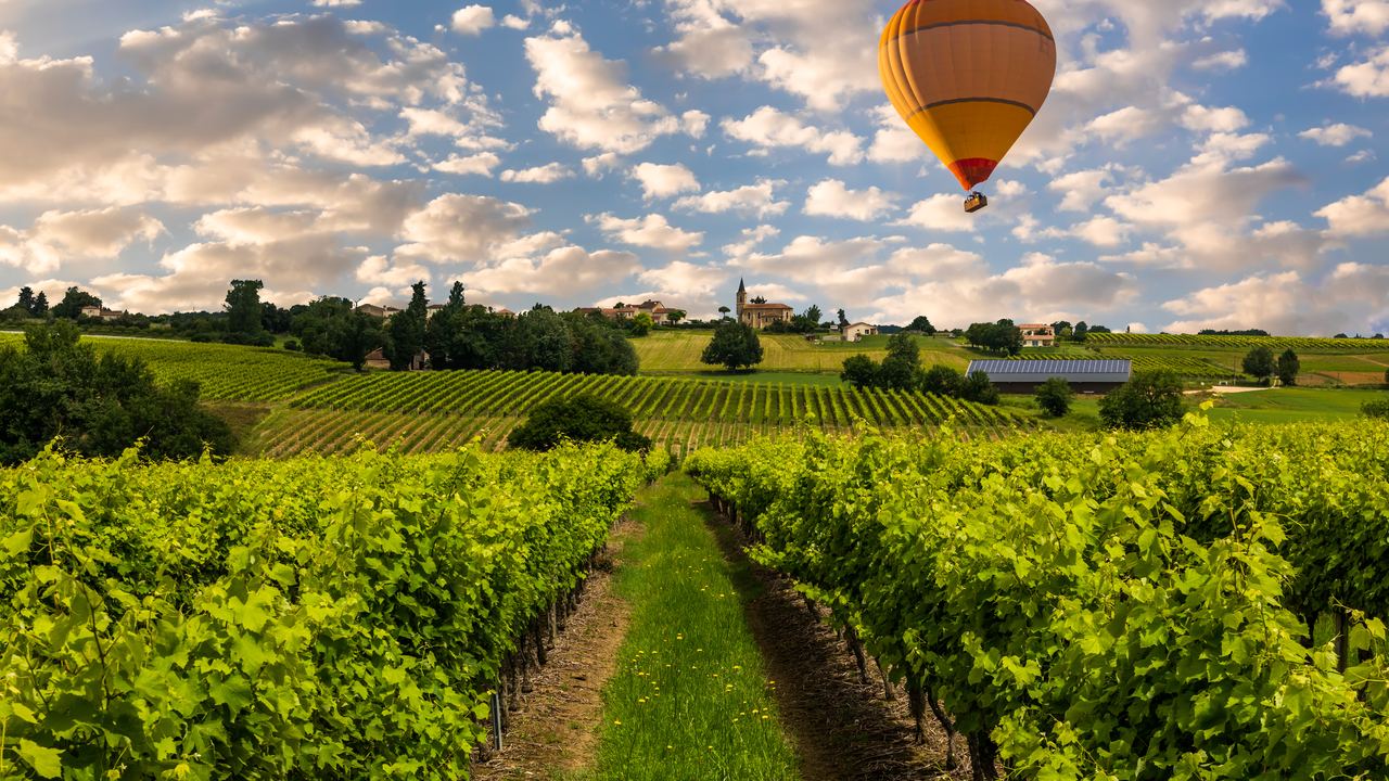 A colourful hot air balloon floating above rows of green vines with a village and church on the horizon in Bordeaux, France