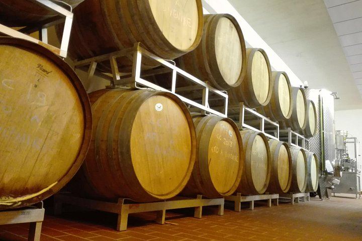 Chianti Hills Afternoon Wine Tasting from Florence: Seven Wines and a Vinegar Cellar (12/12)