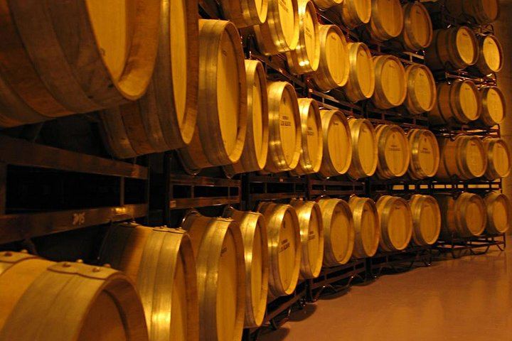 Private Rioja Winery Day from San Sebastian: Four-Course Riojan Lunch with Lamb Chops (2/12)