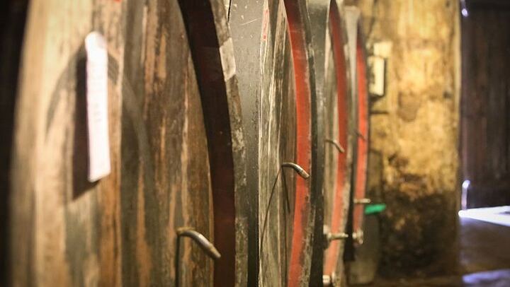 Small-Group Barolo and Barbaresco Tour by Van, Max 8 Guests, Three Wineries (3/6)