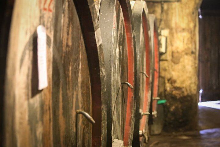 Small-Group Barolo and Barbaresco Tour by Van, Max 8 Guests, Three Wineries (3/6)