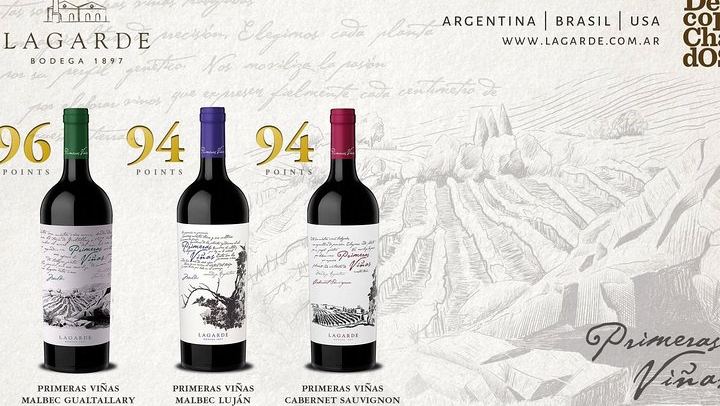 Private Mendoza Day: Huarpe Riglos Wines Tasting and Lunch at Lagarde's Fogón (3/12)
