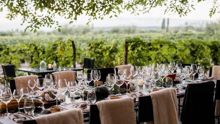 Private Mendoza Day: Huarpe Riglos Wines Tasting and Lunch at Lagarde's Fogón (4/12)