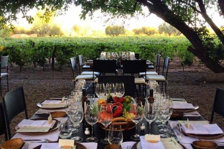 Private Mendoza Day: Huarpe Riglos Wines Tasting and Lunch at Lagarde's Fogón (1/12)