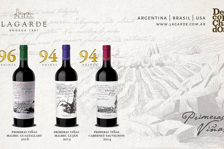 Private Mendoza Day: Huarpe Riglos Wines Tasting and Lunch at Lagarde's Fogón (3/12)