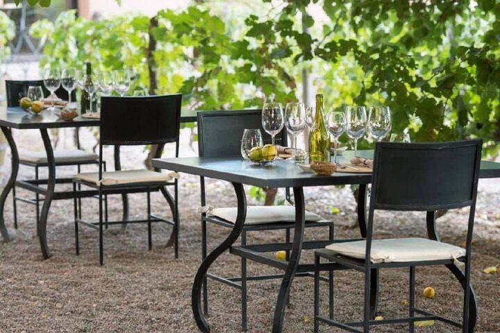 Private Mendoza Day: Huarpe Riglos Wines Tasting and Lunch at Lagarde's Fogón (8/12)