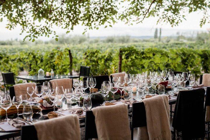Private Mendoza Day: Huarpe Riglos Wines Tasting and Lunch at Lagarde's Fogón (4/12)