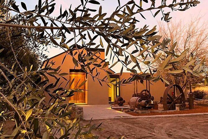 Private Mendoza Day: Huarpe Riglos Wines Tasting and Lunch at Lagarde's Fogón (11/12)