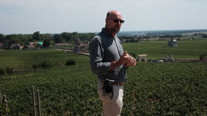 Private Côte d'Or Wine Tasting Tour Between Dijon and Beaune with Pickup (4/12)