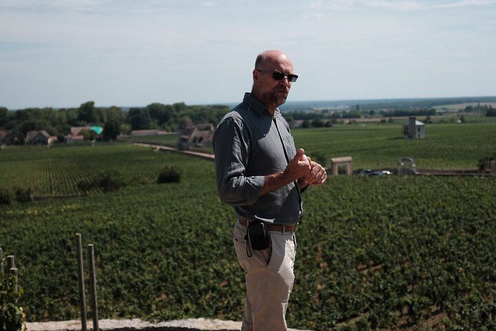 Private Côte d'Or Wine Tasting Tour Between Dijon and Beaune with Pickup (4/12)
