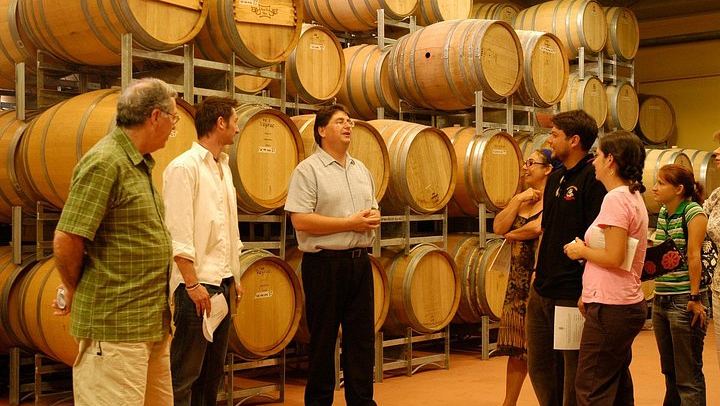 All-Inclusive Hunter Valley Boutique Wine Tour from Sydney, Max 14 Guests, Cypress Lakes (4/12)
