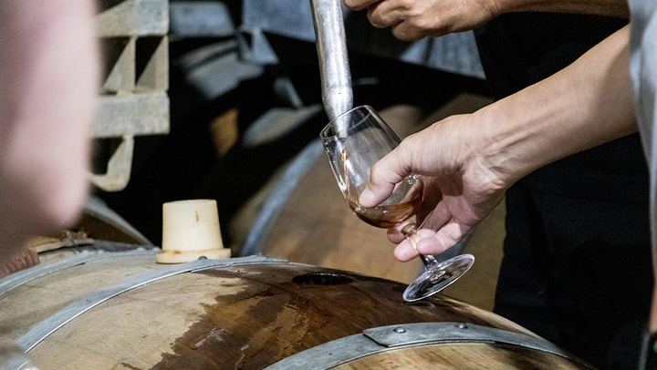 Hunter Valley Day Trip from Sydney: Sobels, 4 Pines, Drayton's, Lunch and Chocolate (2/12)
