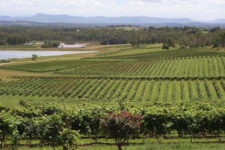 All-Inclusive Hunter Valley Boutique Wine Tour from Sydney, Max 14 Guests, Cypress Lakes (9/12)