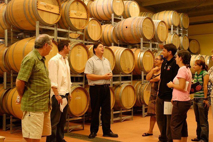 All-Inclusive Hunter Valley Boutique Wine Tour from Sydney, Max 14 Guests, Cypress Lakes (4/12)