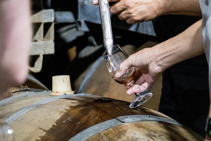 Hunter Valley Day Trip from Sydney: Sobels, 4 Pines, Drayton's, Lunch and Chocolate (2/12)