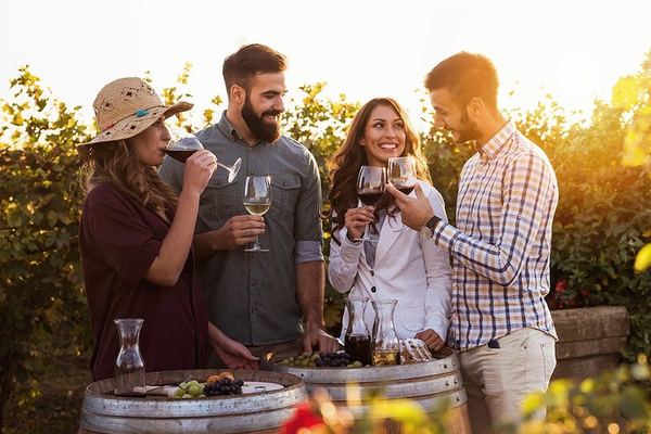 Private Hunter Valley Highlights Wine Tour from Sydney: Capercaillie, Chocolate, Cheese