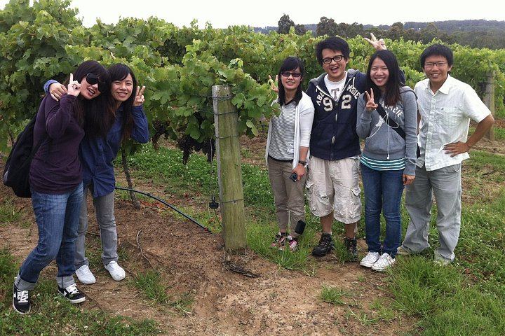 Private Small-Group Hunter Valley Wine Tour from Sydney: Three Boutique Wineries and Lunch (9/10)