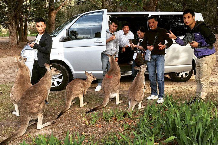 Private Small-Group Hunter Valley Wine Tour from Sydney: Three Boutique Wineries and Lunch (5/10)