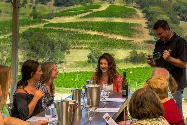 Private Luxury Hunter Valley Tour: Café Enzo Lunch and Glandore Wine and Chocolate Pairing
