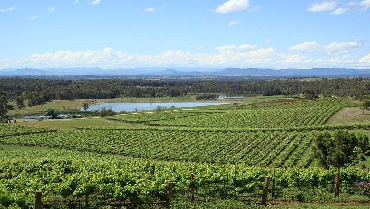 Private Hunter Valley Wine Day for 1-7 Guests: Four Boutique Wineries and Lunch