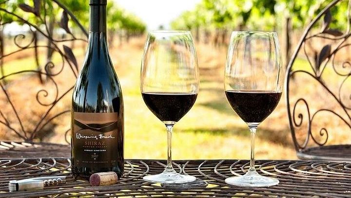 Go Beyond Tours Private Hunter Valley Wine Day: Piggs Peake, Scarborough, Iron Gate (3/7)