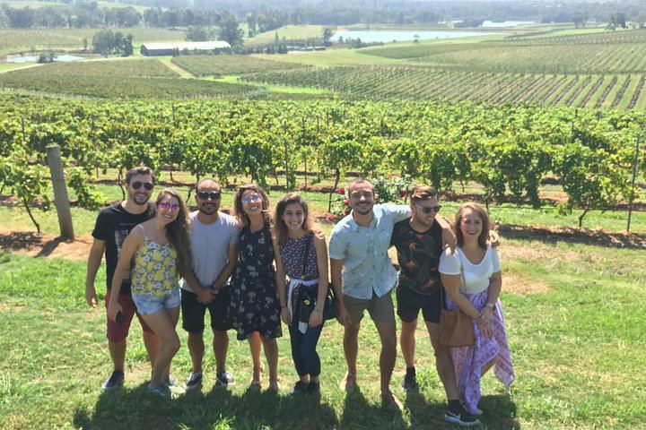 Go Beyond Tours Private Hunter Valley Wine Day: Piggs Peake, Scarborough, Iron Gate (2/7)