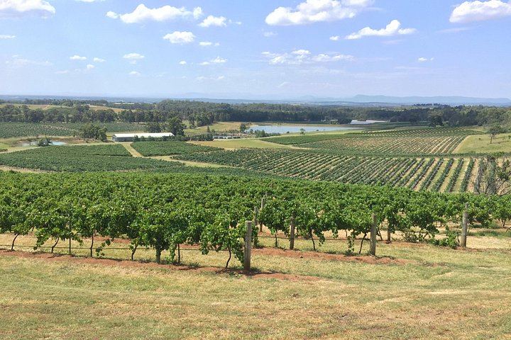 Go Beyond Tours Private Hunter Valley Wine Day: Piggs Peake, Scarborough, Iron Gate (5/7)
