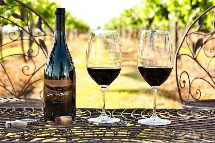 Go Beyond Tours Private Hunter Valley Wine Day: Piggs Peake, Scarborough, Iron Gate (3/7)