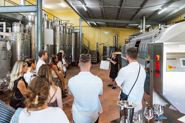 Hunter Valley Wine Tasting Tour from Sydney: Iron Gate, Sobel's, Gin and Olive Centre (11/12)