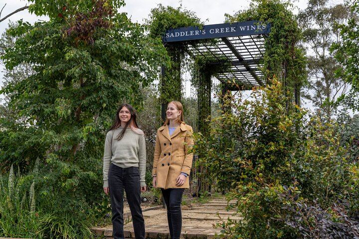 Hunter Valley Small-Group Wine Tour from Sydney: 7am Start, 3 Cellar Doors, Lunch, Cheese (10/12)