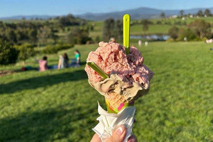 Yarra Valley Afternoon Tour: Chandon Sparkling, Cheese and Sunset Kangaroos, 12 Guests Max (10/12)