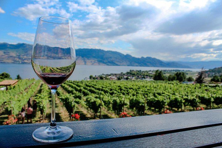 Kelowna or West Kelowna Afternoon Wine Tour by Mercedes Van, Up to 4 Hours (2/12)