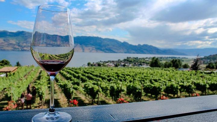 Kelowna or West Kelowna Afternoon Wine Tour by Mercedes Van, Up to 4 Hours (2/12)