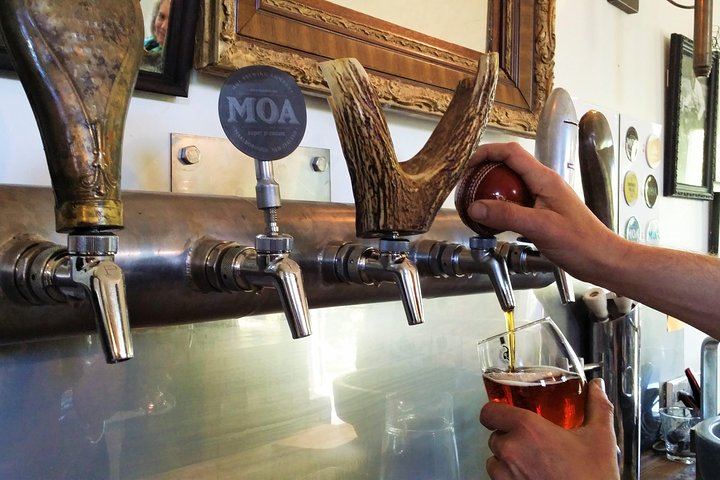 Half-Day Marlborough Wine Tour with a Winemaker Guide, 3-4 Wineries and Lunch (5/10)