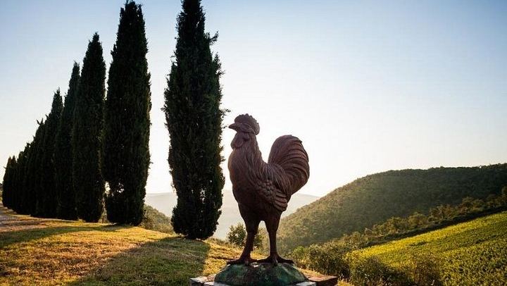 Semi-Private Mercedes Van Wine Day from Florence: San Gimignano and Prosecco (1/12)