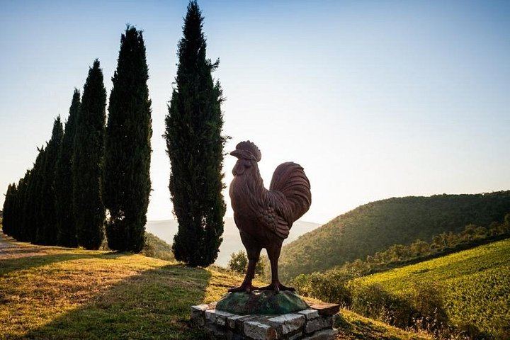 Semi-Private Mercedes Van Wine Day from Florence: San Gimignano and Prosecco (1/12)